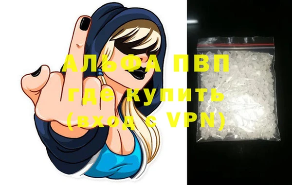 индика Баксан