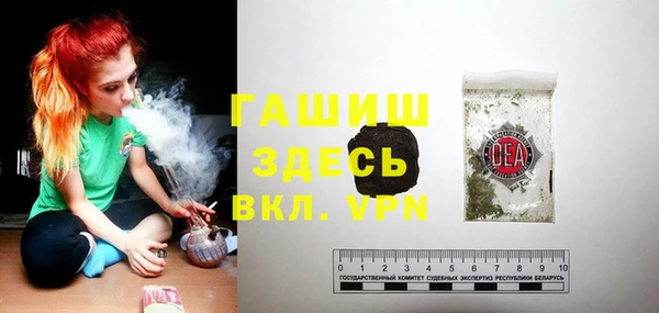 индика Баксан