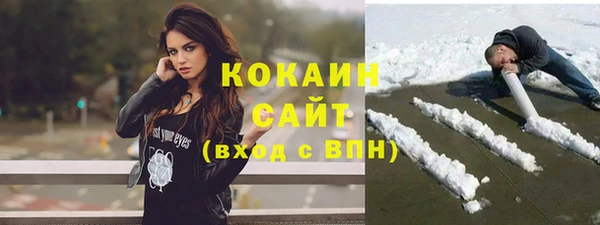 индика Баксан
