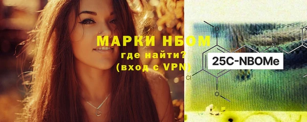 индика Баксан