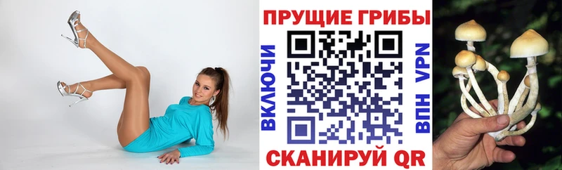 цены наркотик  Бор  Псилоцибиновые грибы Magic Shrooms 
